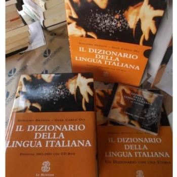 Il dizionario della lingua italiana. Con CD-ROM