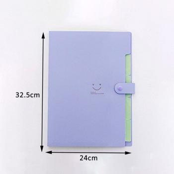 Carpeta de Archivos A4 5 Capas Plástica Impermeable