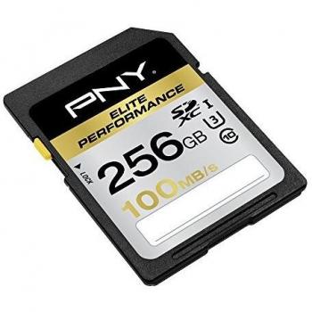 Scheda SDXC PNY Elite Performance 256 GB