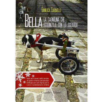 Bella la cagnolina che scodinzola con lo sguardo