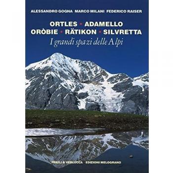 I grandi spazi delle Alpi. Ediz. illustrata. Ortles, Adamello, Oròbie, Ratikon, Silvretta (Vol. 5)