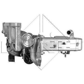 Módulo de Recirculação de Gases NRF 48204