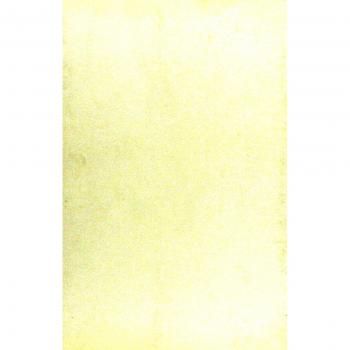 Theodor W. Adorno. Il maestro ritrovato