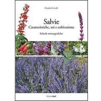 Salvie. Caratteristiche, usi e coltivazione
