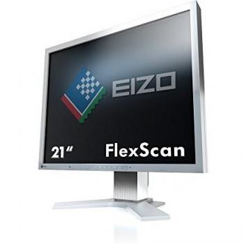 Eizo S2133-HGY LCD Monitor 21.3