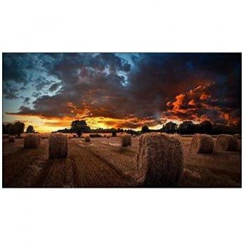 Samsung monitor videowall 46