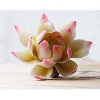 Bolsa de té colgante de loto original