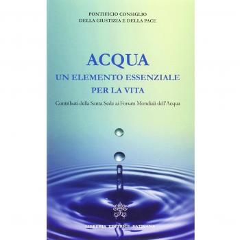 Acqua un elemento essenziale per la vita. Contributi della Santa Sede ai forum mondiali dell'acqua