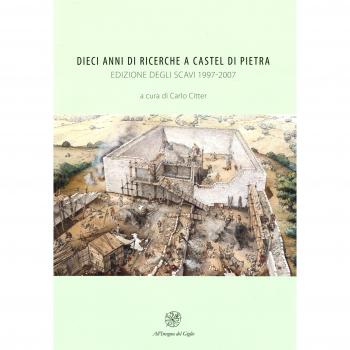 Dieci anni di ricerche a Castel di Pietra. Edizione degli scavi (1997-2007)
