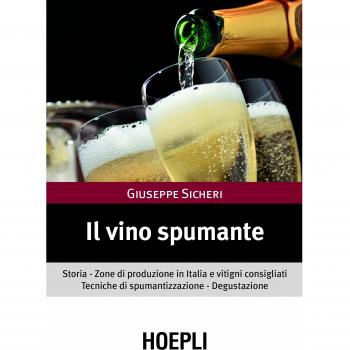 Il vino spumante. Storia. Zone di produzione in Italia e vitigni consigliati. Tecniche di spumantizzazione. Degustazione