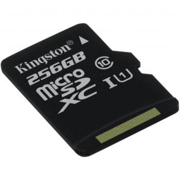 Kingston SDCS/256GBSP Canvas Select Plus Scheda MicroSD 256 GB, Velocità UHS-I di Classe 3 (U3) fino a 100 MB/s in Lettura, senza Adattatore SD