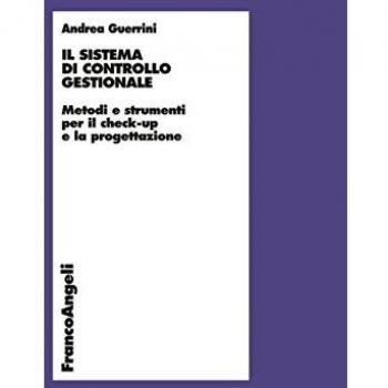 Il sistema di controllo gestionale. Metodi e strumenti per il check-up e la progettazione