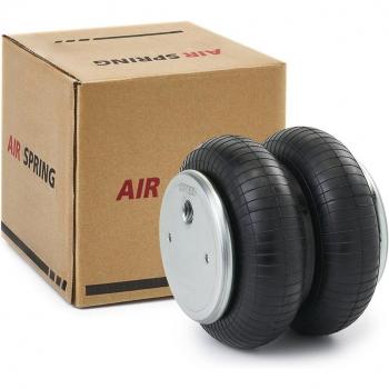 Mola Pneumática RIDEX 4119A0031