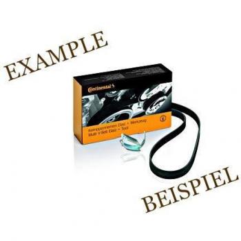 Jogo de Correias Trapezoidais CONTITECH 6PK1042