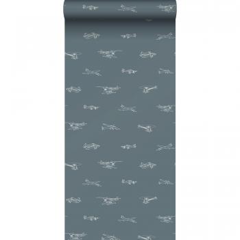 Aviones Azul Grisados: Estilo Vintage