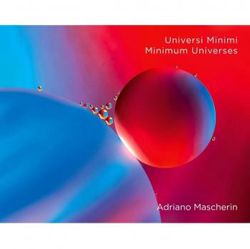 Universi minimi-Minimum universes. Ediz. multilingue