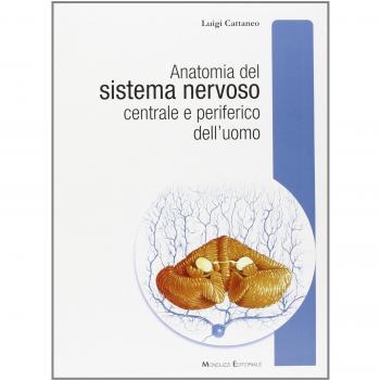 Anatomia del sistema nervoso centrale e periferico dell'uomo