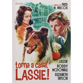 Torna A Casa Lassie