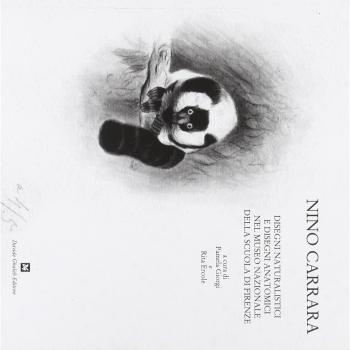 Nino Carrara. Disegni naturalistici e disegni anatomici nel Museo nazionale della scuola di Firenze