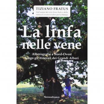La linfa nelle vene. Alberografie a Nord-Ovest lungo gli itinerari dei grandi alberi
