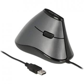 DeLOCK 12527 – Mouse USB Ottico da Ufficio 800 DPI in Nero e Grigio