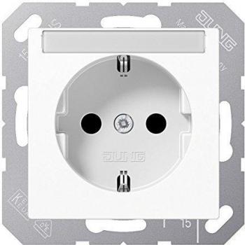 Jung 1 parte Frutto Presa di corrente Bianco alpino A1520BFNAWW