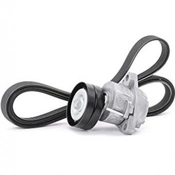 Jogo de correias trapezoidais estriadas STARK SKRBS-1200375