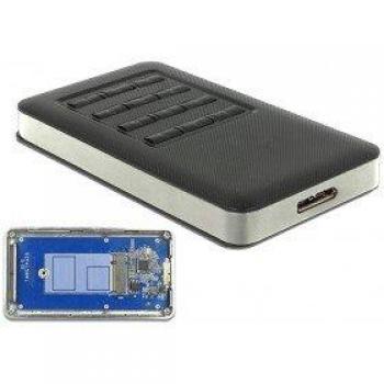 DeLock 42594 M.2 SSD Enclosure Black, Silver