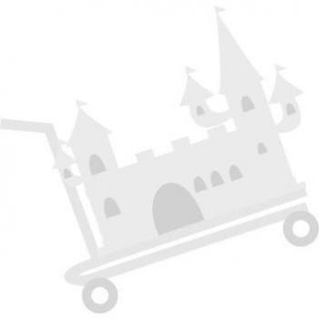 BONTEMPI 48 5000 KARAOKE WIRELESS