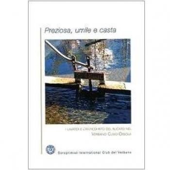 Preziosa, umile e casta. I lavatoi e l'antico rito del bucato nel Verbano Cusio Ossola