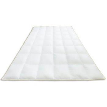 FRAU HOLLE Daunenbettdecke Ava, 200x200 cm, 90% Gänsedaunen