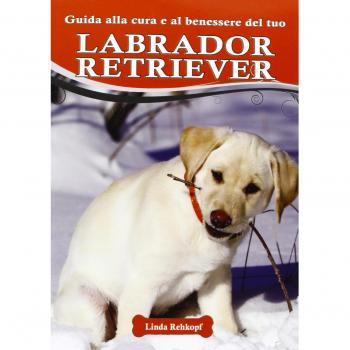 Guida alla cura e al benessere del tuo labrador retriever
