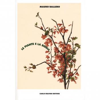 Le piante e la Bibbia. Ediz. a colori