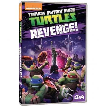 Teenage Mutant Ninja Turtles: Stagione 3