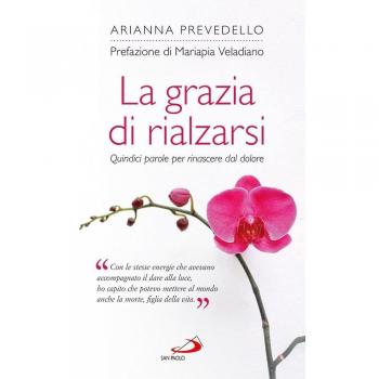 La grazia di rialzarsi. Quindici parole per rinascere dal dolore