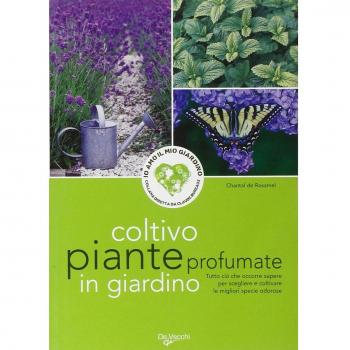 Coltivo piante profumate in giardino
