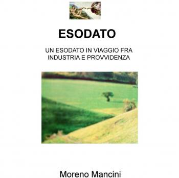 Esodato. Un esodato in viaggio fra industria e provvidenza