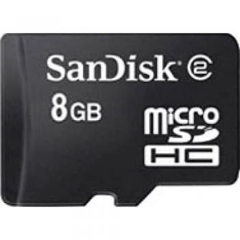 MicroSD Sandisk HC Sicurezza 60 GB Grigio