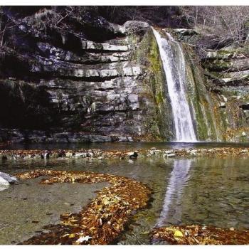 Alta via dei parchi 1:50.000. Alto Appennino forlivese. Parco nazionale Foreste Casentinesi, monte Falterona e Campigna nord (Vol. 7)