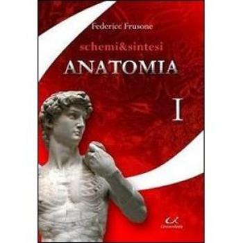 Schermi & sintesi di anatomia