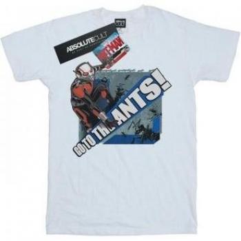Camiseta de Algodón para Dama Ant-Man Ve a las Hormigas Estilo Boyfriend