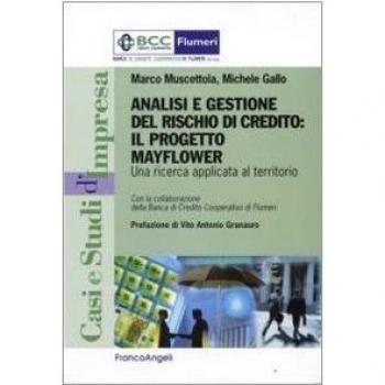 Analisi e gestione del rischio di credito. Il progetto Mayflower. Una ricerca applicata al territorio