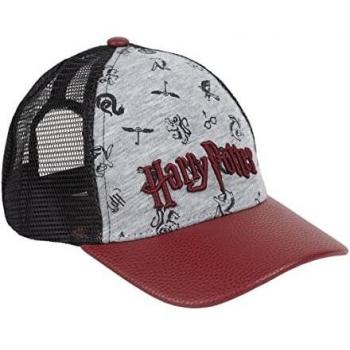 Gorra Visera Curva Bordado Harry Potter