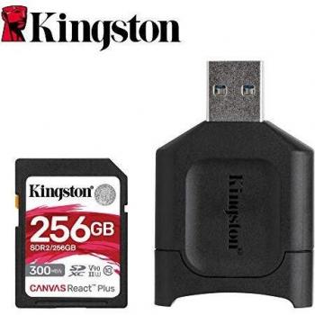 Kingston MLPR2/256 GB Schede SD e Lettori Media