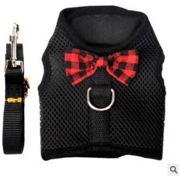 Taza de Té para Mascotas con Arnés y Correa para Chihuahua