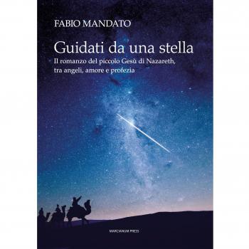 Guidati da una stella. Il romanzo del piccolo Gesù di Nazareth, tra angeli, amore e profezia