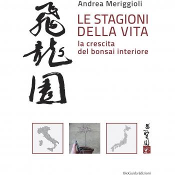 Le stagioni della vita. La crescita del bonsai interiore