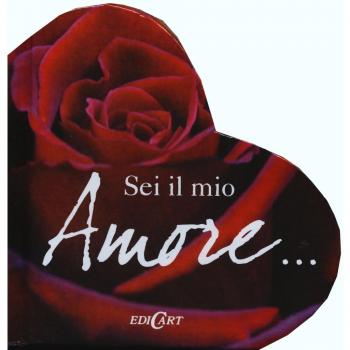 Sei il mio amore