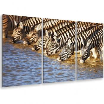 Arte Tribal: Tríptico Zebras Desalteradas