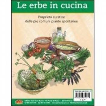Le erbe in cucina. Proprietà curative delle più comuni piante spontanee